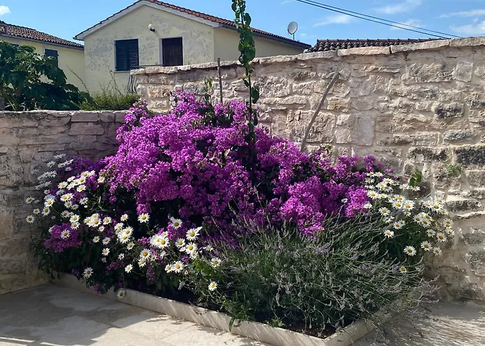 Casa Tratinella Vikendica